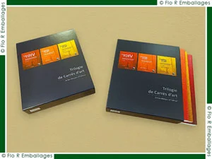 fourres ou fourreaux pour contenir une collection de livres